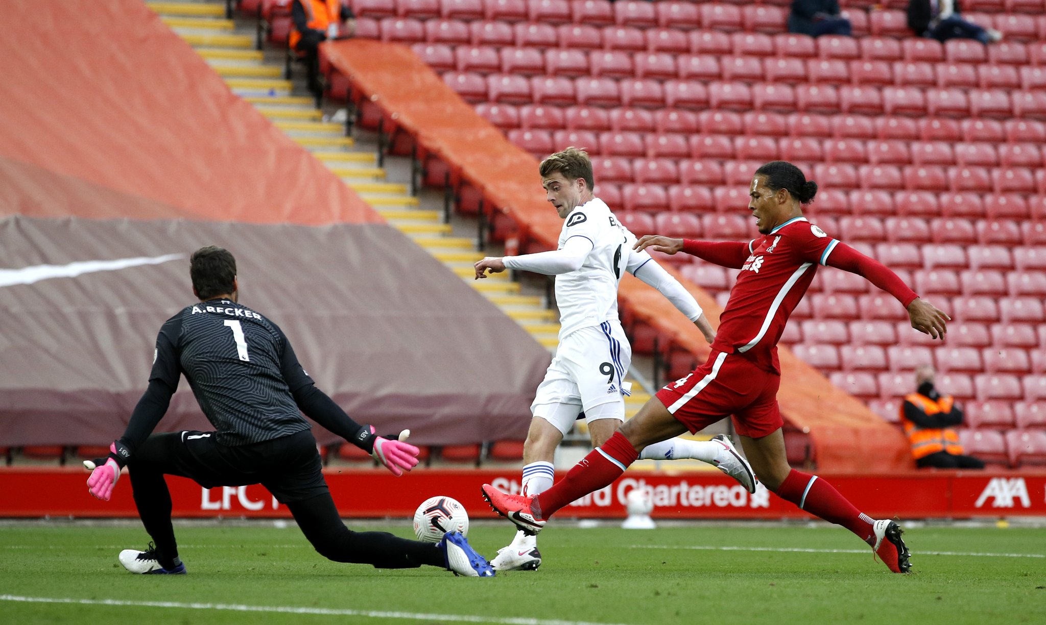 仅是因为她 仅是因为她